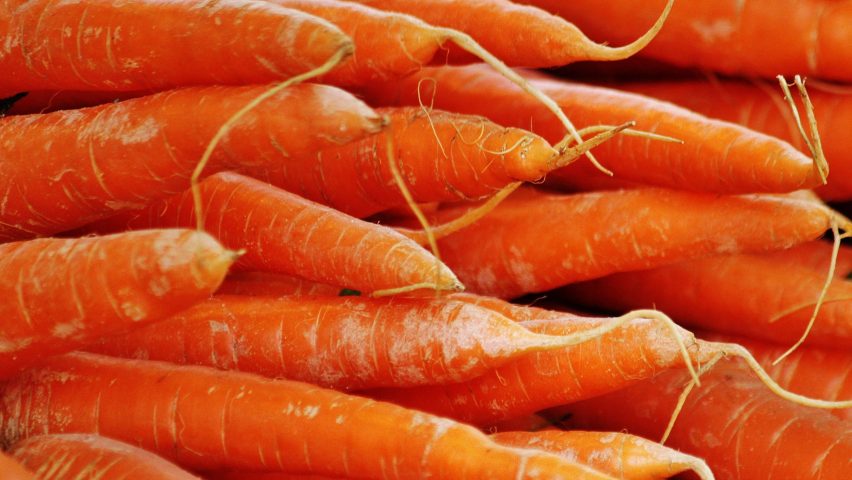 Морковь может быть ключом к более прочному бетону